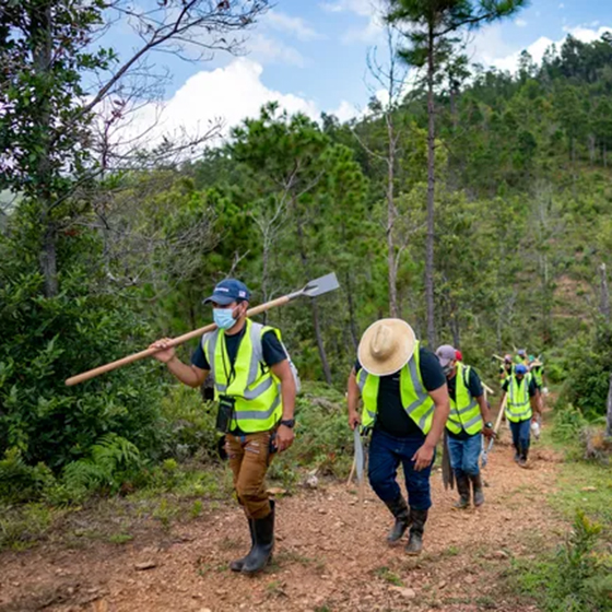 A crew of volunteers wear yellow safety vests and carry supplies to plant trees in Honduras