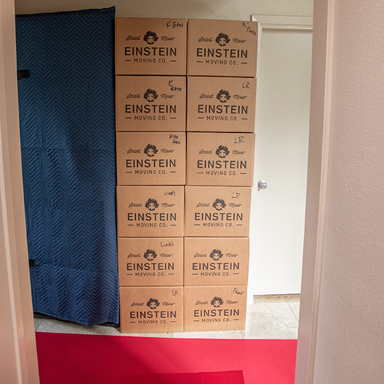 Einstein moving boxes are stacked in a hallway. The floor is covered with a red carpet