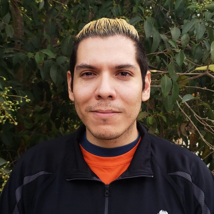 Mauro L